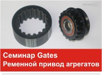 Gates, zobsiksna