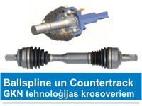 INA, Schaeffler