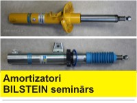 INA, Schaeffler