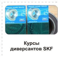 SKF gultni